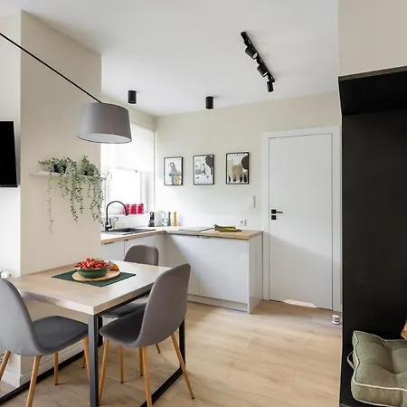 No 7 Terrace Apartment Krakow Exterior photo